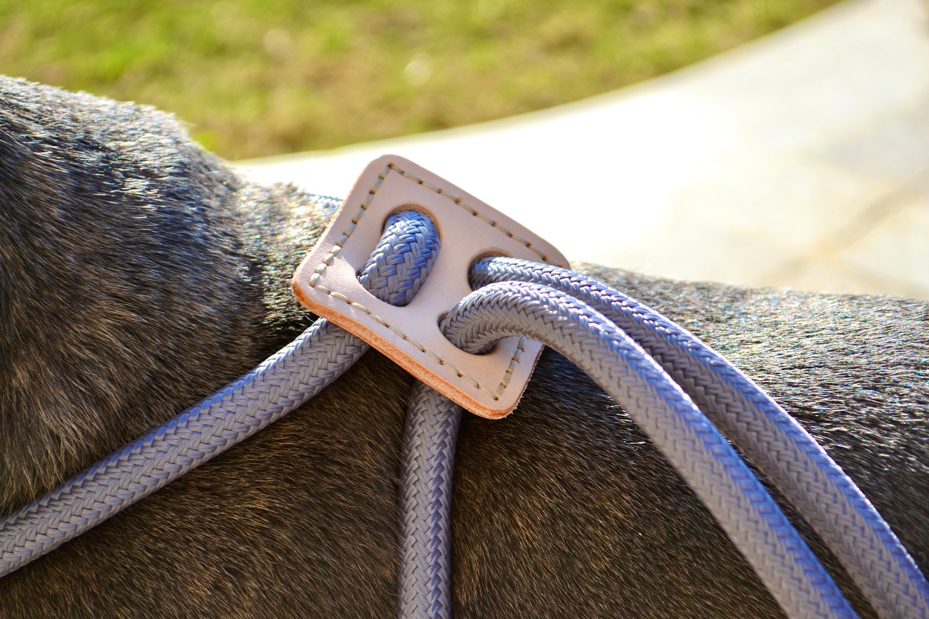 Dog Rope Harness and Leash Set Leather Dog Leash Adjustable Etsy