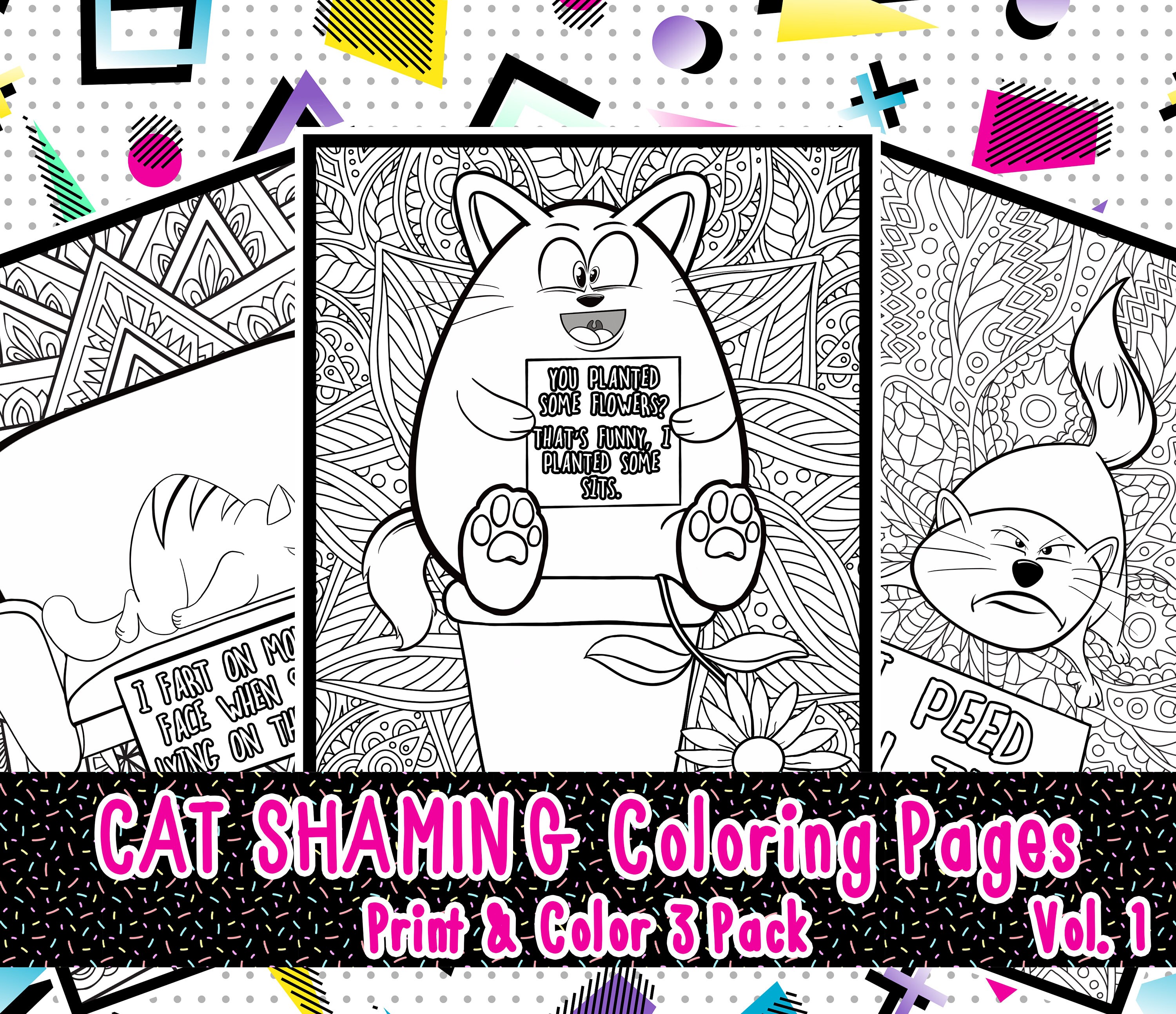 Download Cat Shaming Coloring Pages Vol 1 3 Pack Print And Color Etsy