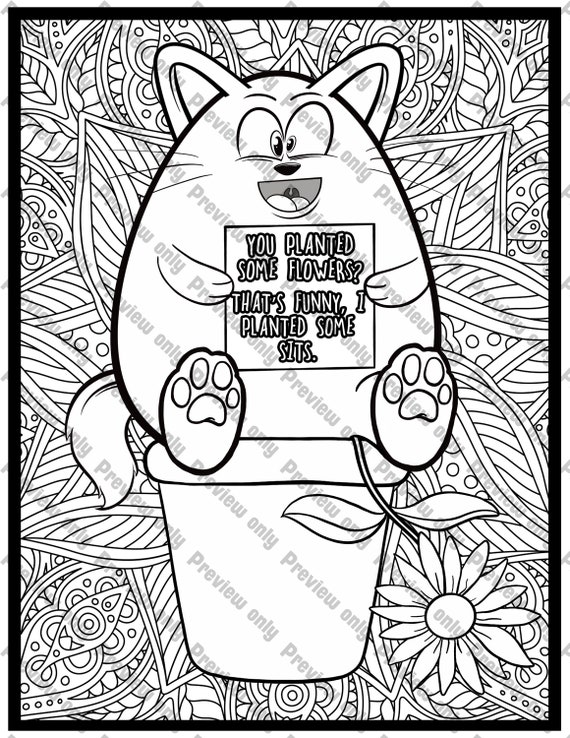 Download Cat Shaming Coloring Pages Vol 1 3 Pack Print And Color Etsy