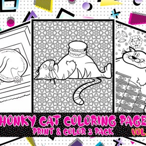 Download Cat Shaming Coloring Pages Vol 1 3 Pack Print And Color Etsy