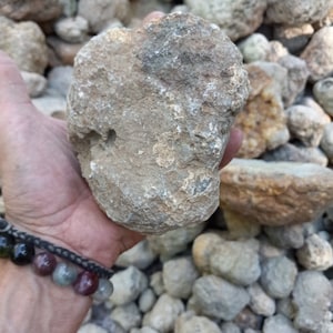 Plus Size Break Your Own Kentucky Geodes, Geode Lot