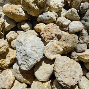 Break Your Own Kentucky Geodes, 5lb lot, Wholesale Geodes, Bulk Geodes