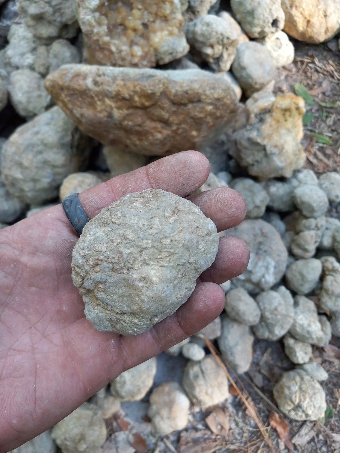Geodes Ky Small Size Break Your Own Kentucky Geode, Small Geodes, Small Geode Lot ...