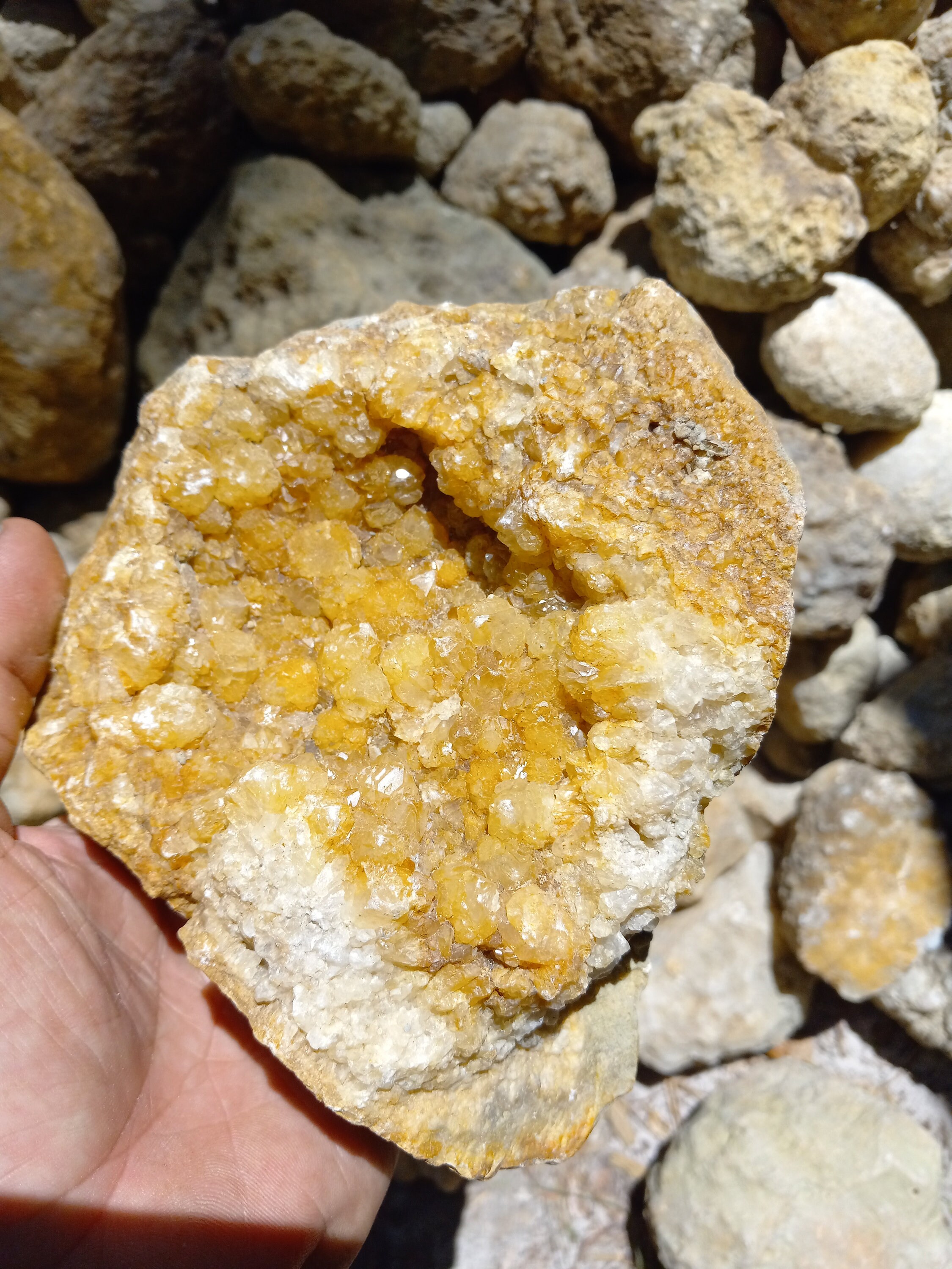 Geodes Ky Break Your Own Kentucky Geodes, 5lb Lot, Wholesale Geodes, Bulk Geodes ...
