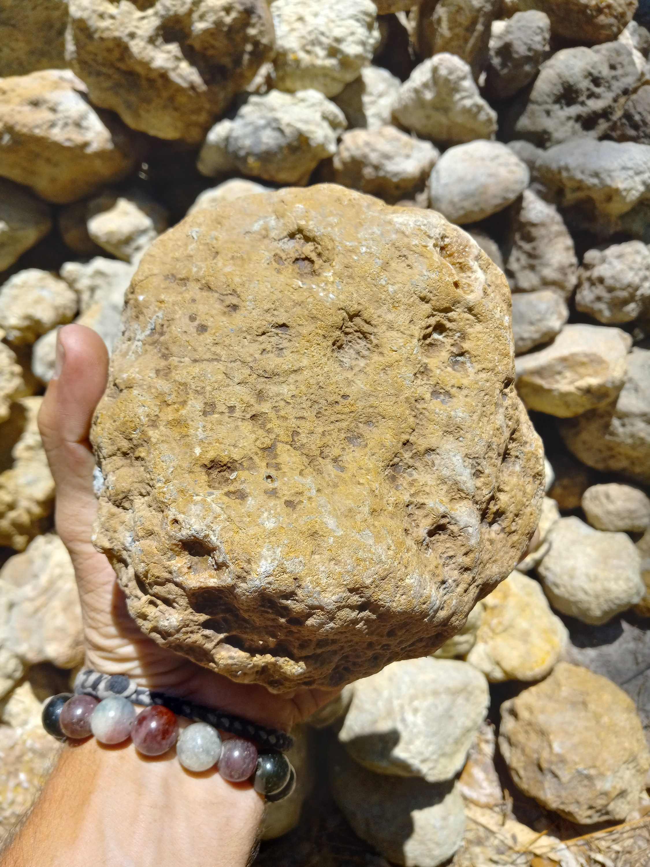 Geodes Ky Break Your Own Kentucky Geodes, 5lb Lot, Wholesale Geodes, Bulk Geodes ...