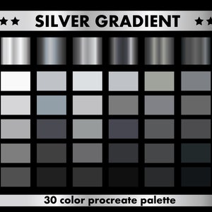 Könnte beinhalten: Eine digitale Farbpalette mit 30 Silber-Farbtönen, die von hellem Weiß bis zu tiefstem Schwarz reichen. Die Palette ist mit "SILVER GRADIENT" und "30 color procreate palette" beschriftet.