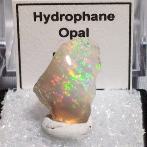 May include: A Hydrophane Opal gemstone displayed in a clear case. The opal is a light color with iridescent flashes of green, yellow, and orange. The text "Hydrophane Opal" is printed on a white card behind the stone.