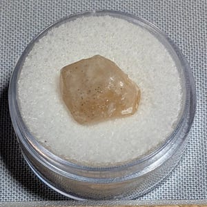 May include: A small, light brown gemstone displayed in a clear, round container with a white interior. A wooden ruler with inch markings is placed below the container, measuring approximately 1 inch in length.