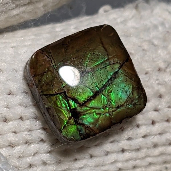 Ammolite cabochon from Canada - 5.1 carats