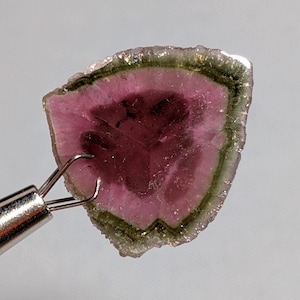 Peut inclure: Une tranche de pierre précieuse de tourmaline pastèque, présentant un dégradé de couleurs vives. Le centre est d'un magenta profond, passant au rose, puis à un bord extérieur vert. Un outil argenté tient la pierre.