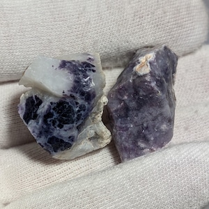 Può includere: Due campioni di minerale di fluorite grezzi e non tagliati. Un pezzo è un mix di bianco e viola scuro, con un motivo maculato. L'altro è di colore viola scuro pieno. Entrambi sono tenuti contro uno sfondo di tessuto bianco.