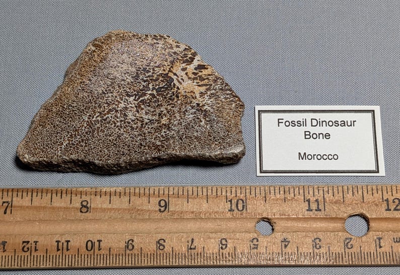 Fossil Dinosaur Bone Double-polished Specimen From Morocco - 78.3 Grams ...