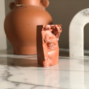 Puede incluir: Una escultura de color terracota de un busto clásico, que presenta el ojo y parte de la cara. La escultura está sobre una superficie de mármol, con un jarrón de terracota y un objeto blanco en forma de arco en el fondo.
