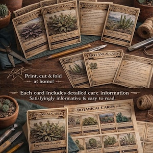 Puede incluir: Tarjetas de cuidado botánico imprimibles para 12 Euphorbias. Las tarjetas presentan ilustraciones de varias plantas de Euphorbia con información detallada sobre el cuidado. Diseñadas para una fácil impresión en cartulina y montaje en casa.