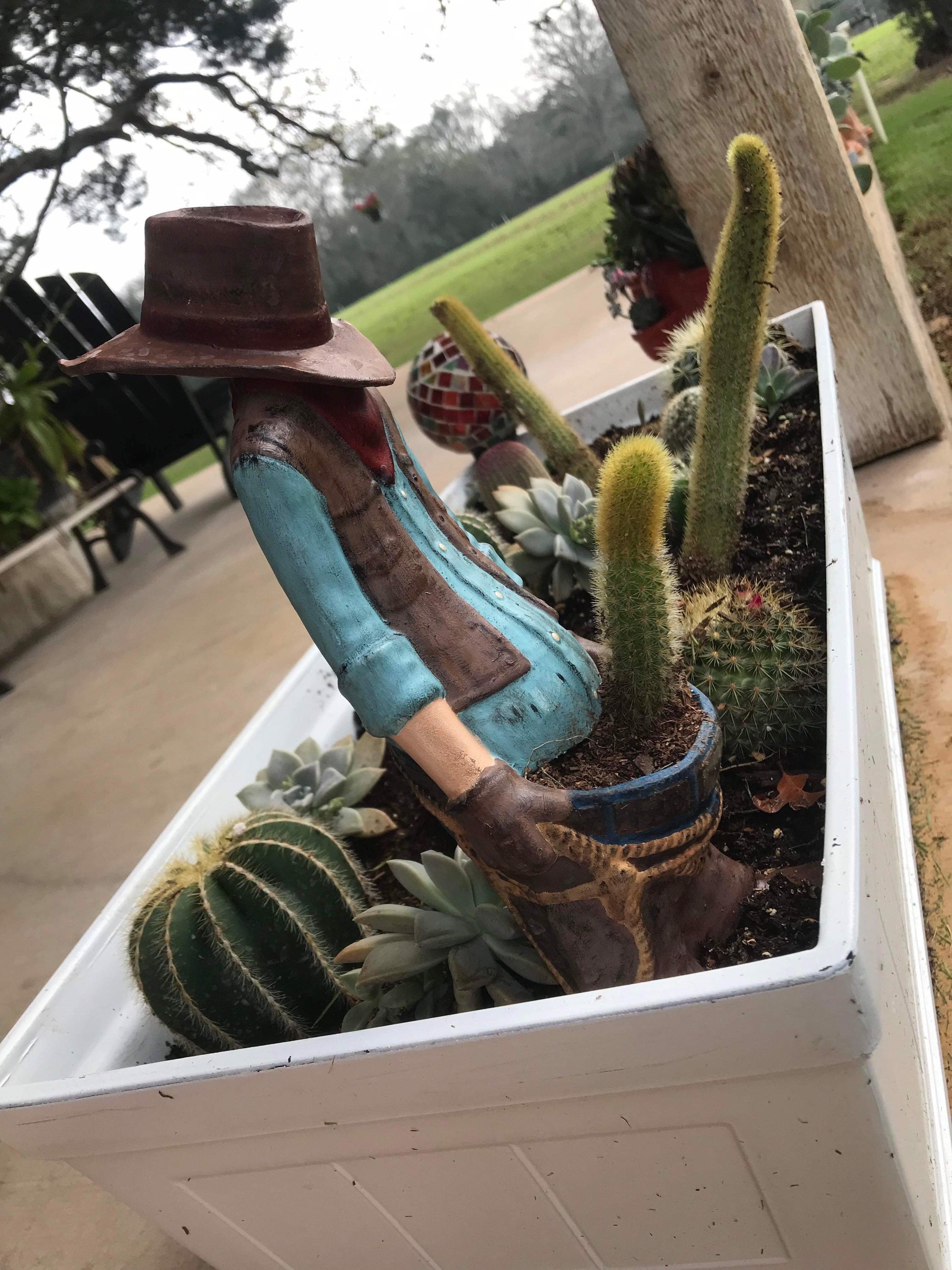 Naughty Cowboy Planter, Cactus Planter, Cowboy, Succulent Planter, Cactus  Pot, Plant Pot - Etsy Australia