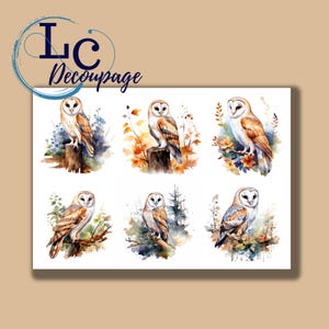Decoupage Rice Paper, A4 Decoupage Paper, Owl Images, Decorative Image, Decoupage Designs, Paper Crafting, DIY Craft, Gift for Crafting