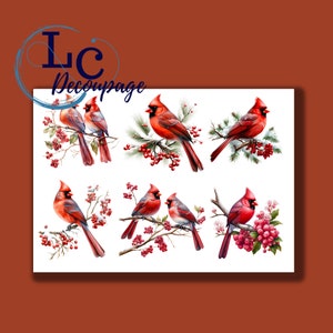 Papier de riz pour découpage, Papier de découpage A4, Image cardinale, Image décorative, Décoration pour découpage, Décorations de Noël, Créations en papier, Cadeau pour créations manuelles