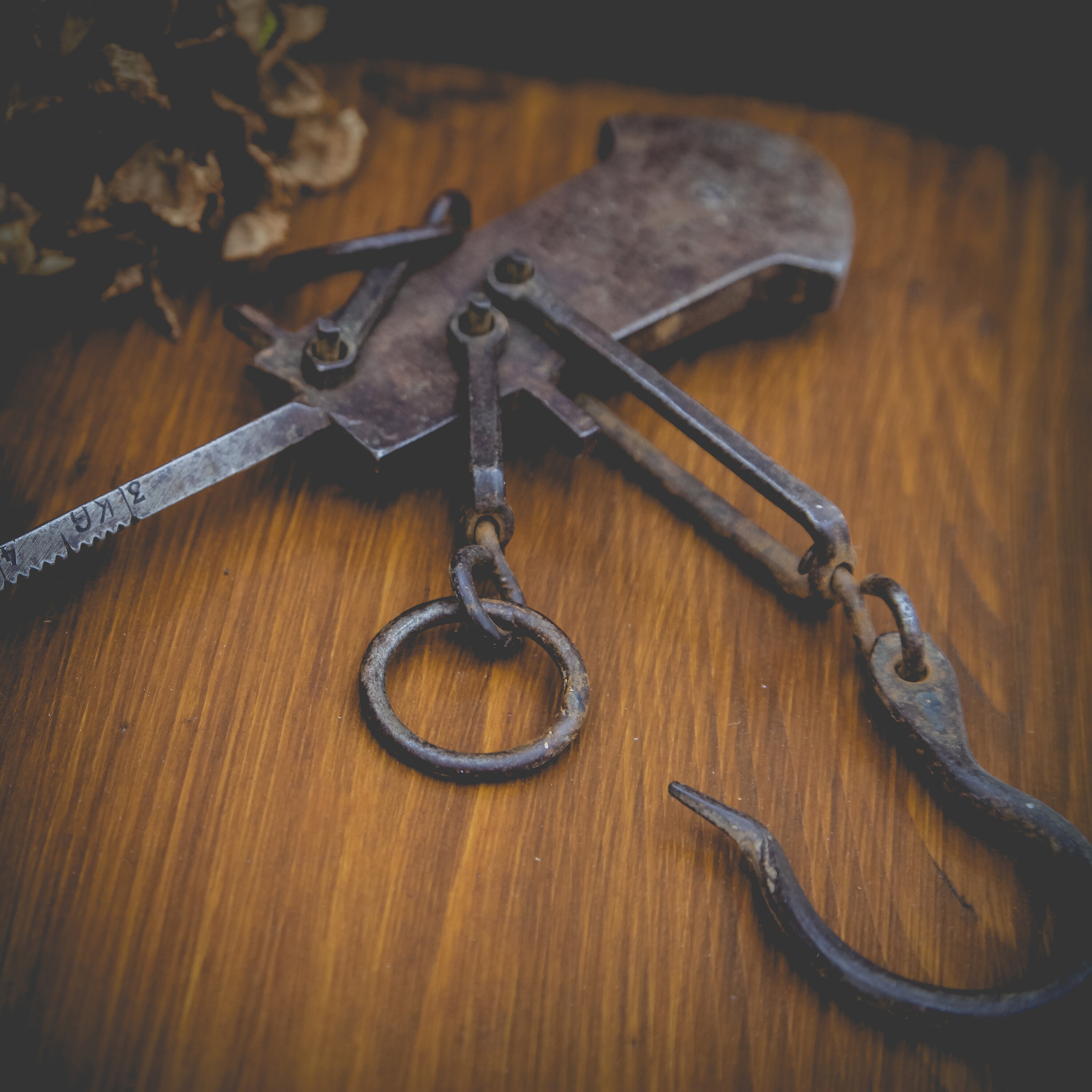 Des Français Des Écailles Romaines, Environ en Fonte Années 1900 et Complètement Fonctionnelles, Por