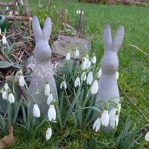 Betonhase, Hase aus Beton, Osterdeko, Mitbringsel, Geschenk Bild 1