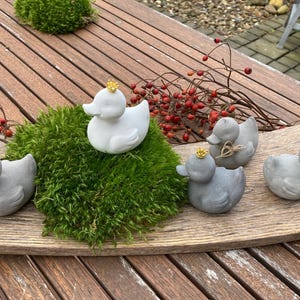 Könnte beinhalten: Eine Sammlung dekorativer Entenfiguren, einige grau und einige weiß, mit kleinen goldenen Kronen. Die Enten sind auf einem Holztablett mit grünem Moos und roten Beeren angeordnet, was eine skurrile Darstellung ergibt.