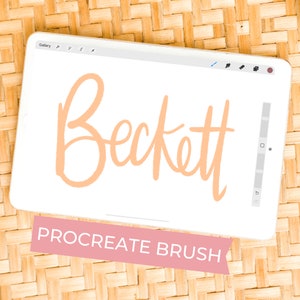 Procreate Pinsel | Kalligraphie Pinsel für Procreate auf dem iPad | Schriftzugpinsel | Zeichenpinsel | Pinsel für Procreate | Procreate Pinsel