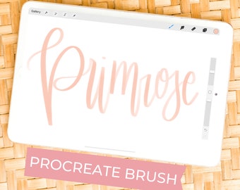 Procreate Pinsel | Kalligraphie Pinsel für Procreate auf dem iPad | Schriftzugpinsel | Zeichenpinsel | Pinsel für Procreate | Procreate Pinsel