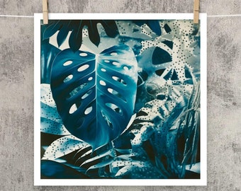 Surreal Cyanotype Monstera Luster Print | 14 x 14 inches