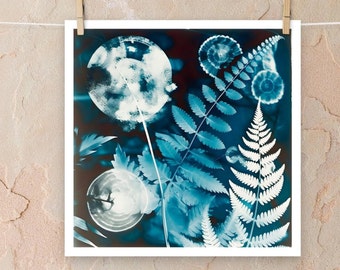 Surreal Cyanotype Ferns Luster Print | 14 x 14 inches