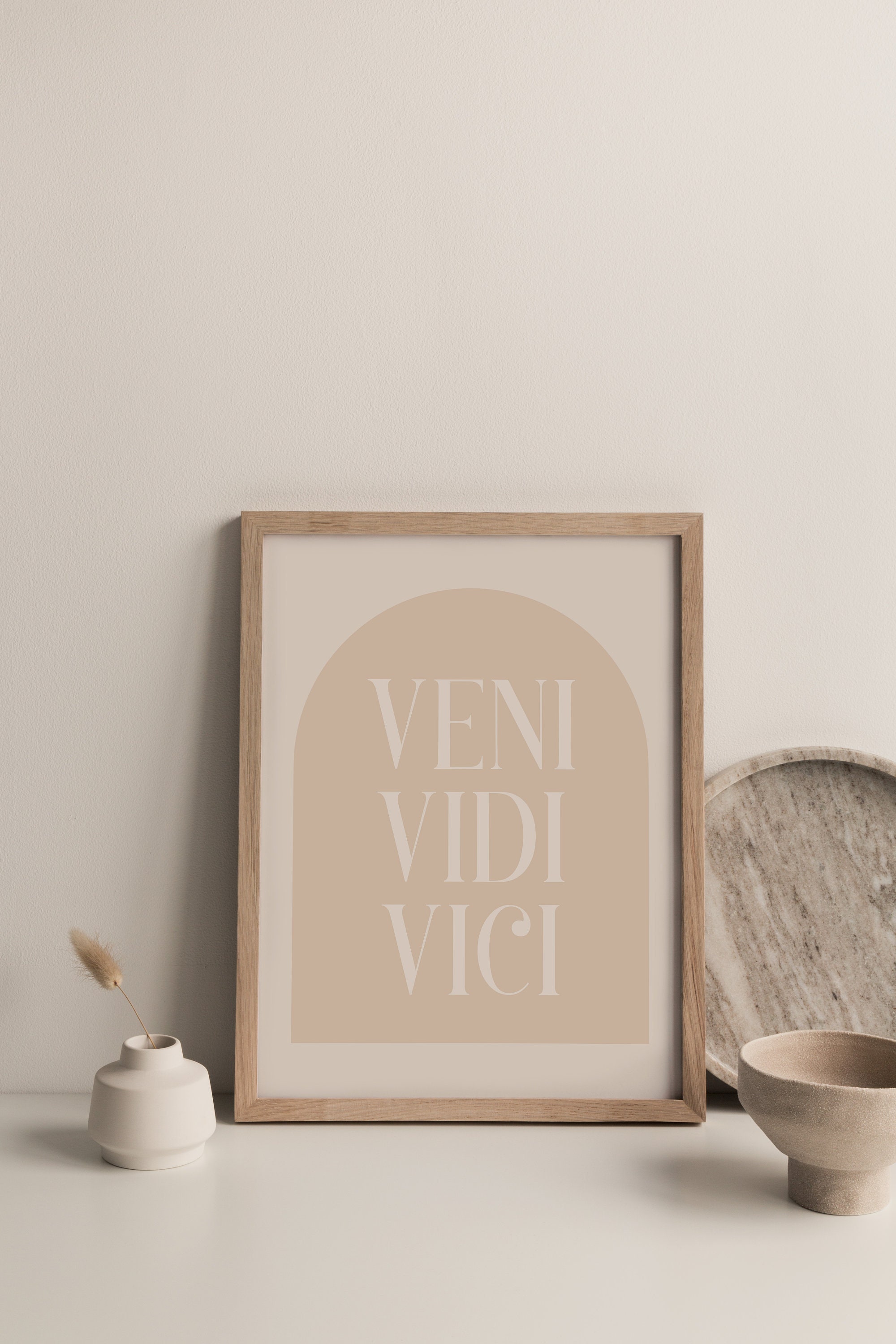 Veni vidi vici latin quote poster translation i Vector Image