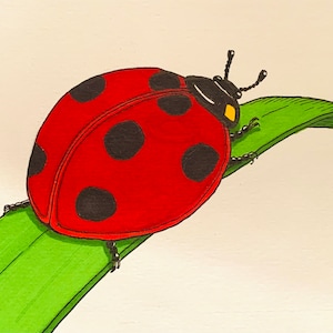 May include: A vibrant illustration of a ladybug with a red shell and black spots resting on a green leaf. The ladybug has a black head with yellow accents and antennae. The artwork is set against a cream-colored background.