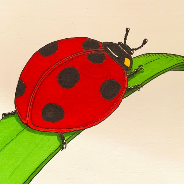 HANDGETEKENDE RODE DAMEBiRD Labybug Coccinelle Groene Blad Tekening- Baby Kwekerij Montessori Wall Art, Dier, Kunstwerk, Illustratie, Foto