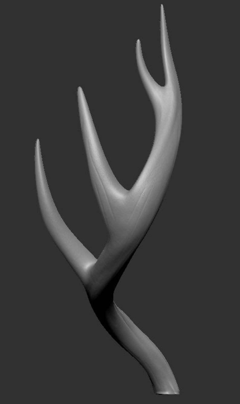 Deer Horns 3D Model, .ZTL Downloadable File Etsy