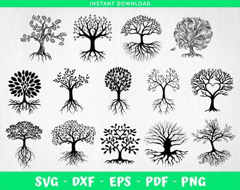 Download Family Tree Svg Etsy