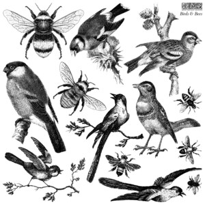 May include: A collection of detailed black and white illustrations of birds and bees. The image includes various bird species perched on branches and flying, alongside several bees. The text "Birds & Bees" is visible in the upper right corner.
