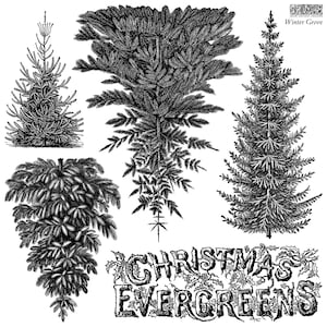 May include: A black and white decorative transfer sheet featuring four distinct evergreen tree illustrations and the text "CHRISTMAS EVERGREENS" with holly accents. The top right corner includes the text "IOD" and "Winter Grove".