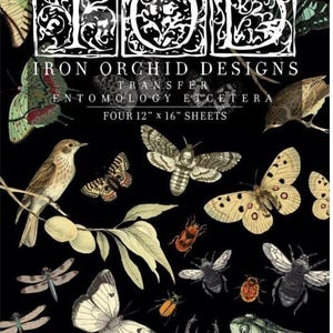 IOD Entomology Etcetera Transfer Iron Orchid Designs