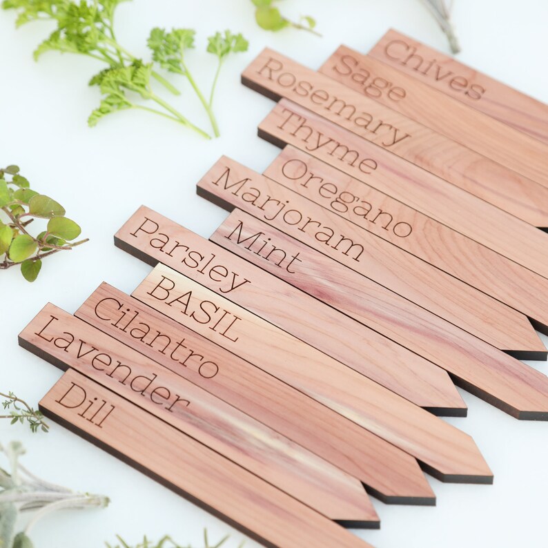Wooden cedar herb markers Garden marker Herb sign image 4