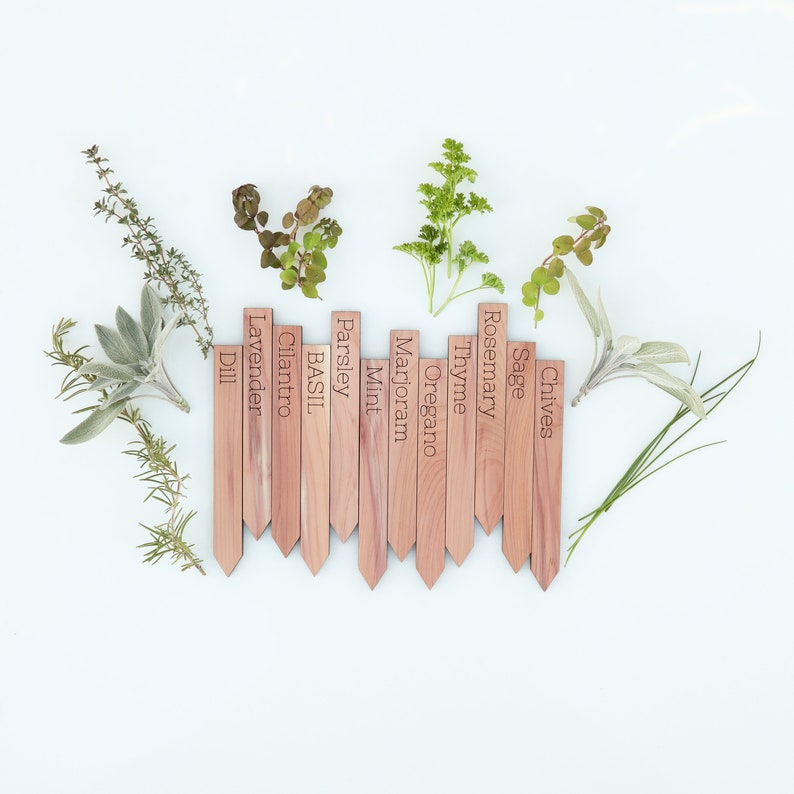 Wooden cedar herb markers Garden marker Herb sign image 3