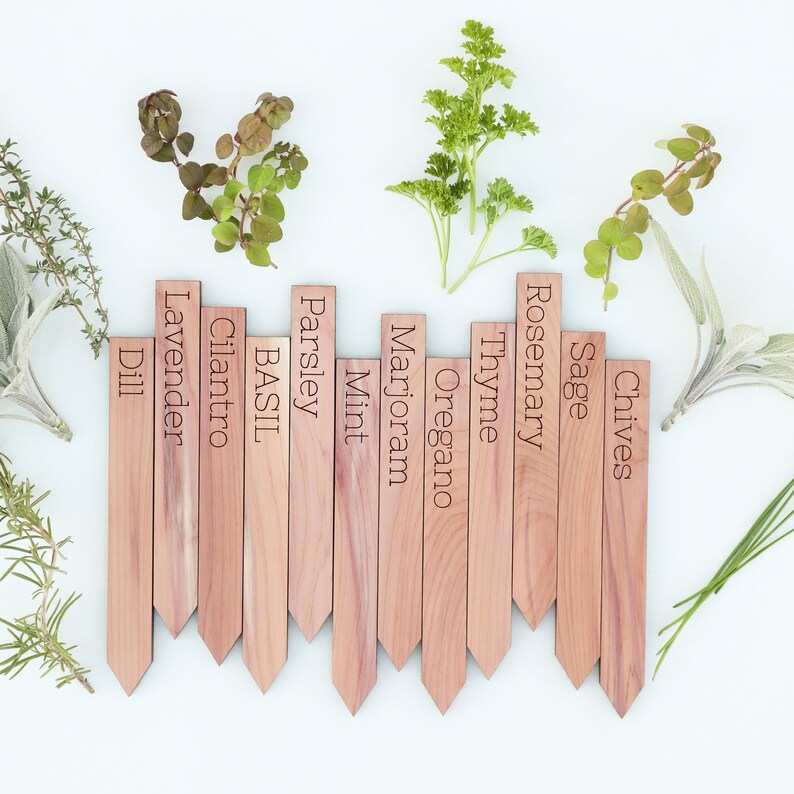Wooden cedar herb markers Garden marker Herb sign image 1