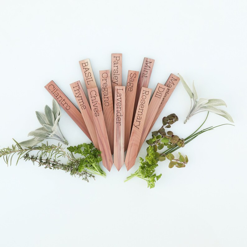 Wooden cedar herb markers Garden marker Herb sign image 5