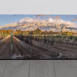 New Mexico Photography - Albuquerque Corrales - Sandia Mountain - Panorama Canvas Print - Landscape Wall Art and Home Decor - Fine Art Print