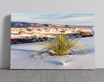 White Sands National Park Photography - New Mexico - Canvas, Metal, Paper Print - Landscape Wall Art and Home Decor - Fine Art Print