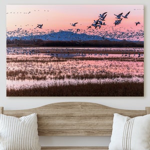 Fotografía de Nuevo México - Bosque del Apache Bird Blastoff - Lienzo, metal, impresión de papel - Arte mural paisajístico y decoración del hogar - Fine Art Print