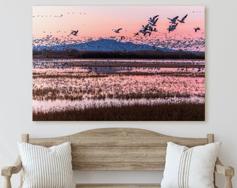 New Mexico Photography - Bosque Del Apache Bird Blastoff - Canvas, Metal, Paper Print - Landscape Wall Art and Home Decor - Fine Art Print