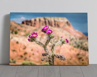 New Mexico Photography - Desert Cactus- Canvas, Metal, Paper Print - Landscape Wall Art and Home Decor - Fine Art Print
