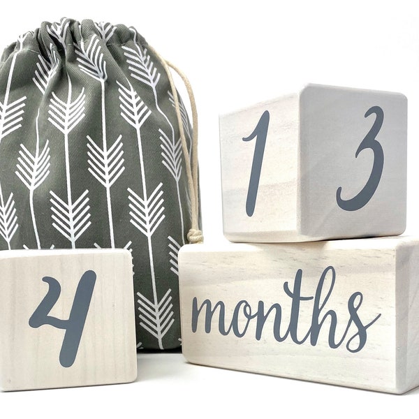 Natural Baby Milestone Blocks for Boy or Girl - Modern White Pine Wood with Weeks Months Years Grade Age Block Set + Bag, Baby Shower Gift
