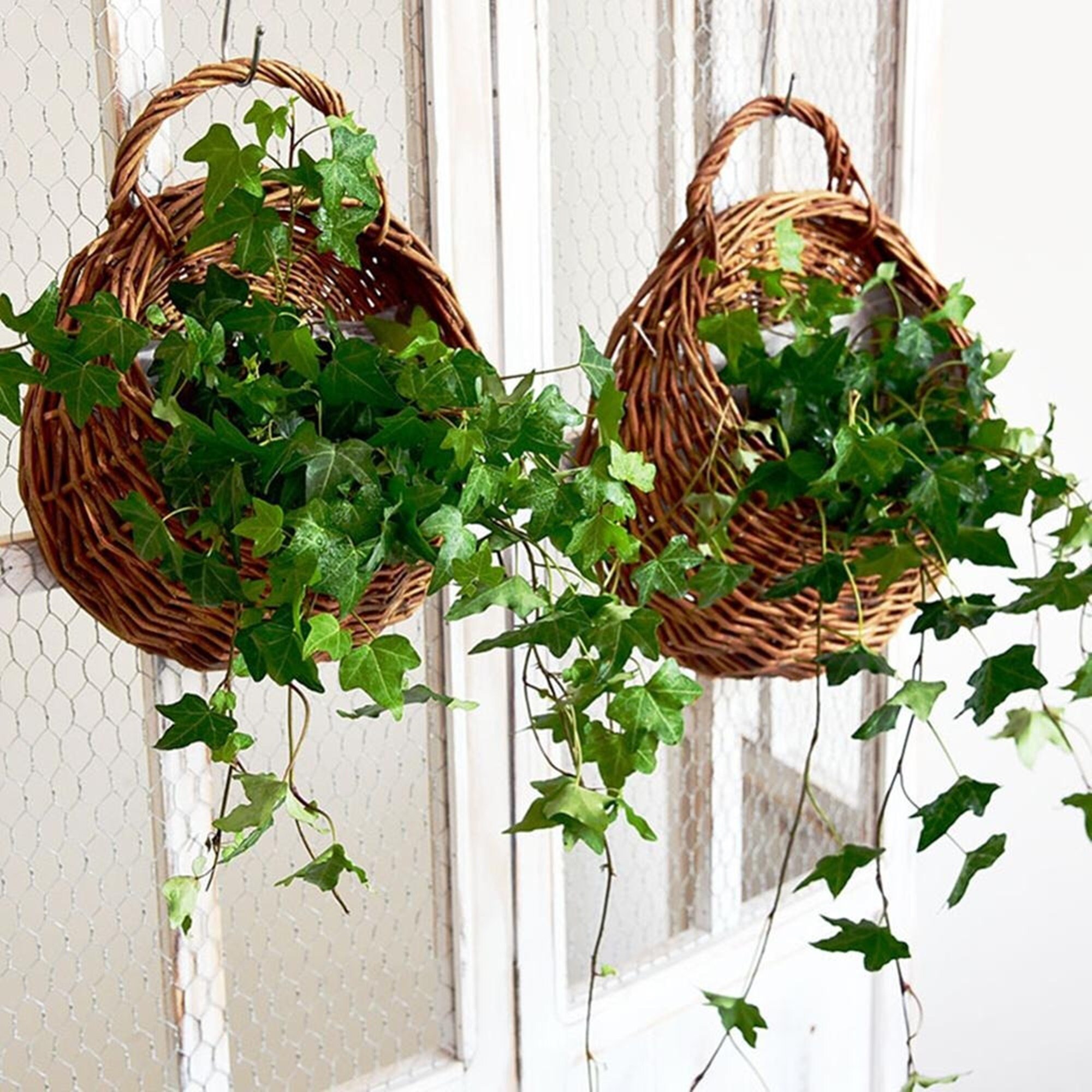 Garden Wallmounted Flower Basket Large Size Handmade Rattan Etsy