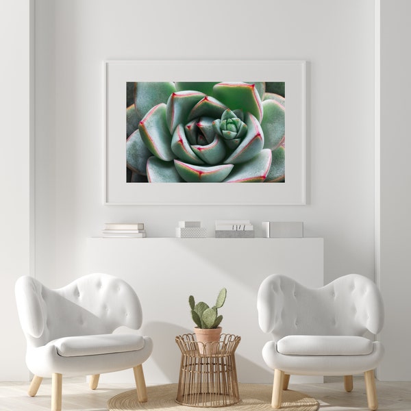 Mama and Baby Succulent Print | Downloadable Wall Art | Nursery Decor