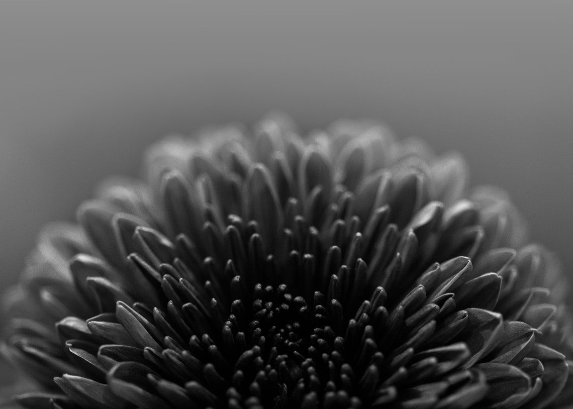 Black and White Mum Print Downloadable Wall Decor - Etsy