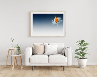 Oranda Digital Print | Goldfish Photo | Fish Wall Decor | Animal Photography | Minimalist Wall Art
